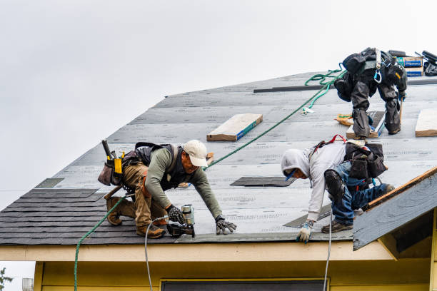 Professional Storm Damage Roof Repair technician working in Huntington, TX